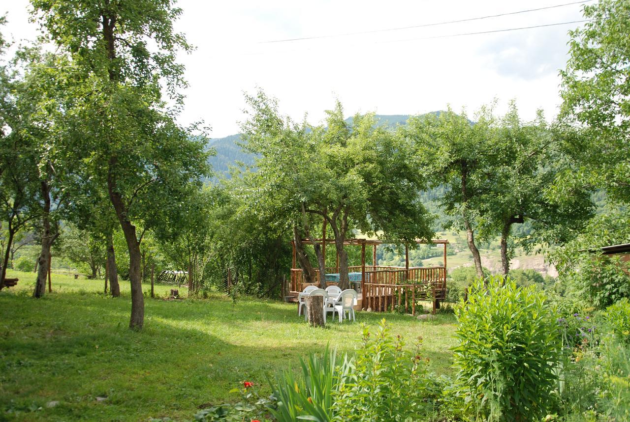 Laila Guest House Mestia Exteriér fotografie